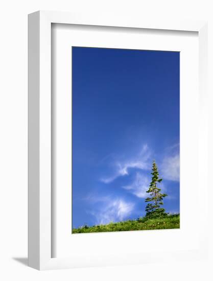 Tree Space 1-Ursula Abresch-Framed Photographic Print