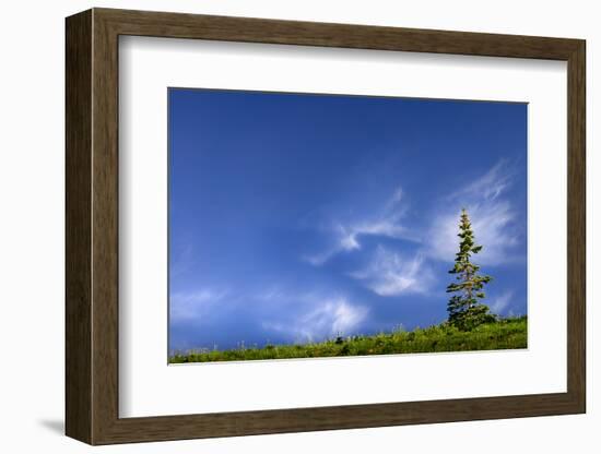 Tree Space 2-Ursula Abresch-Framed Photographic Print