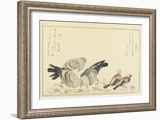 Tree Sparrow and Rock Dove, C. 1790-Kitagawa Utamaro-Framed Giclee Print