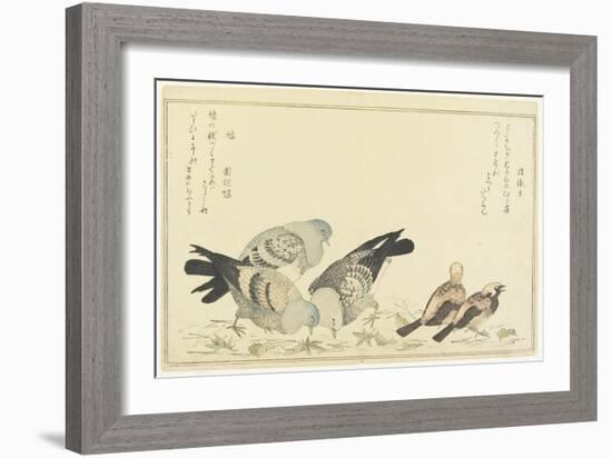 Tree Sparrow and Rock Dove, C. 1790-Kitagawa Utamaro-Framed Giclee Print