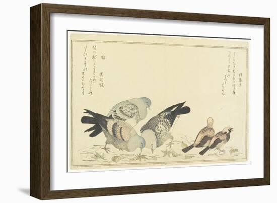 Tree Sparrow and Rock Dove, C. 1790-Kitagawa Utamaro-Framed Giclee Print