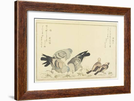 Tree Sparrow and Rock Dove, C. 1790-Kitagawa Utamaro-Framed Giclee Print