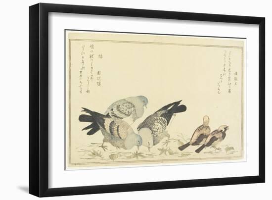 Tree Sparrow and Rock Dove, C. 1790-Kitagawa Utamaro-Framed Giclee Print