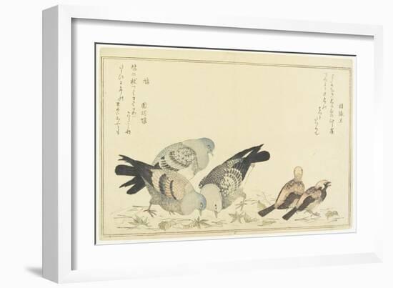 Tree Sparrow and Rock Dove, C. 1790-Kitagawa Utamaro-Framed Giclee Print