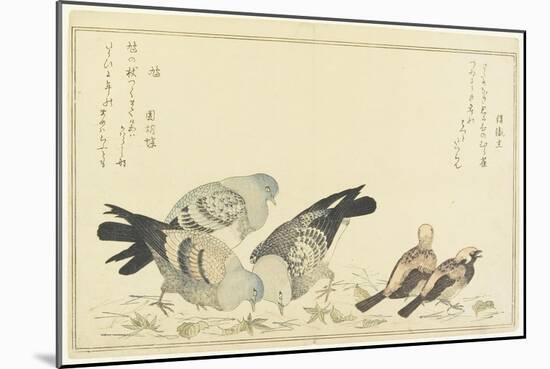 Tree Sparrow and Rock Dove, C. 1790-Kitagawa Utamaro-Mounted Giclee Print