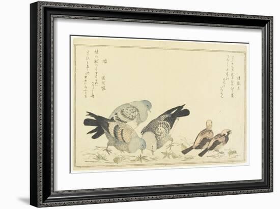 Tree Sparrow and Rock Dove, C. 1790-Kitagawa Utamaro-Framed Giclee Print