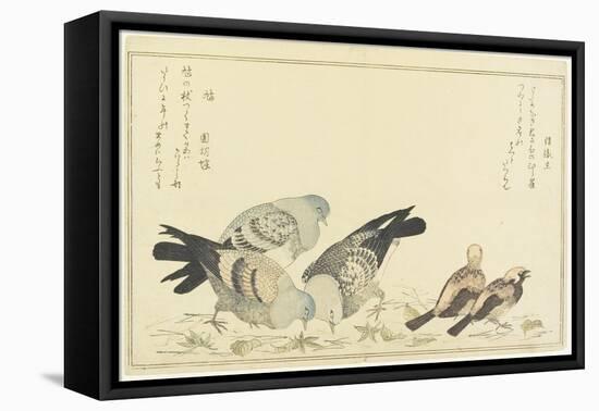 Tree Sparrow and Rock Dove, C. 1790-Kitagawa Utamaro-Framed Premier Image Canvas