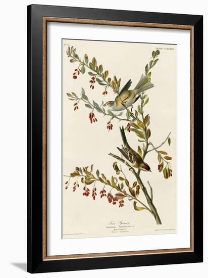 Tree Sparrow-null-Framed Giclee Print