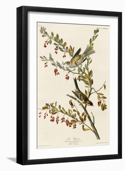 Tree Sparrow-null-Framed Giclee Print