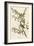 Tree Sparrow-null-Framed Giclee Print
