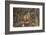 Tree Squirrel (Smith's Bush Squirrel) (Yellow-Footed Squirrel) (Paraxerus Cepapi), Africa-James Hager-Framed Photographic Print