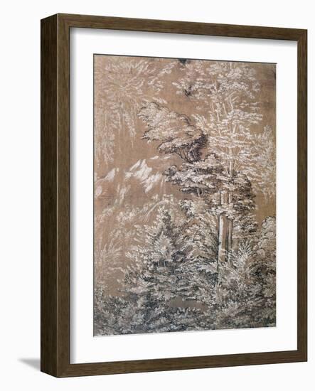 Tree Study, 1519-Wolf Huber-Framed Giclee Print