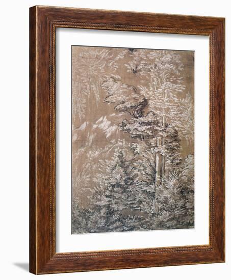 Tree Study, 1519-Wolf Huber-Framed Giclee Print