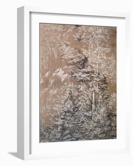 Tree Study, 1519-Wolf Huber-Framed Giclee Print