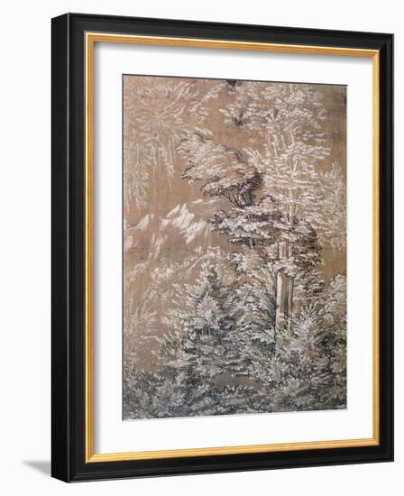 Tree Study, 1519-Wolf Huber-Framed Giclee Print