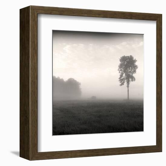 Tree, Study #2-Andrew Ren-Framed Art Print