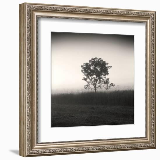 Tree, Study #3-Andrew Ren-Framed Art Print