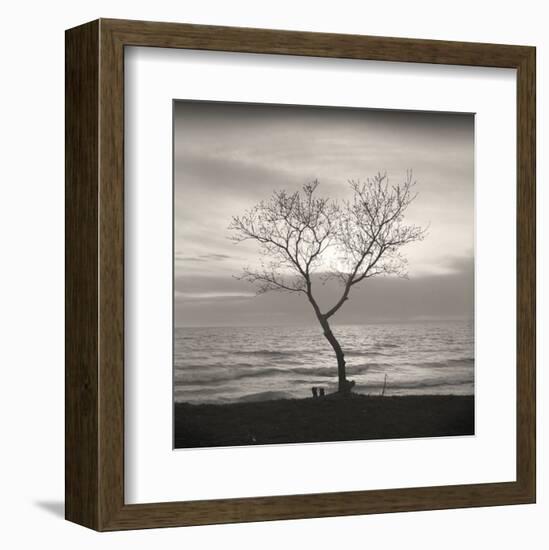 Tree, Study #5-Andrew Ren-Framed Art Print