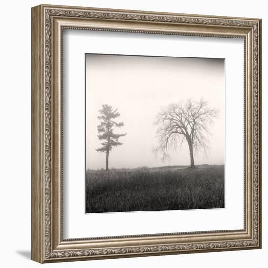 Tree, Study #8-Andrew Ren-Framed Art Print