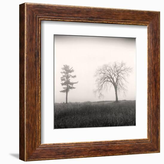 Tree, Study #8-Andrew Ren-Framed Art Print