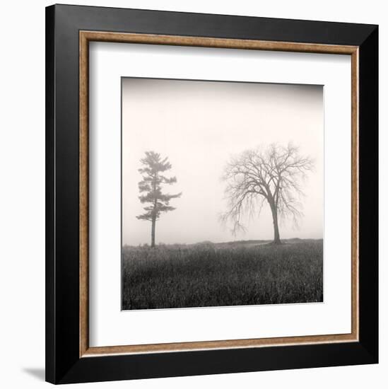 Tree, Study #8-Andrew Ren-Framed Art Print