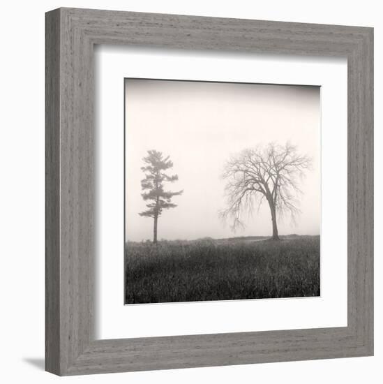 Tree, Study #8-Andrew Ren-Framed Art Print