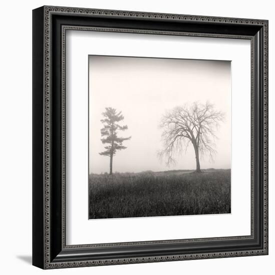 Tree, Study #8-Andrew Ren-Framed Art Print