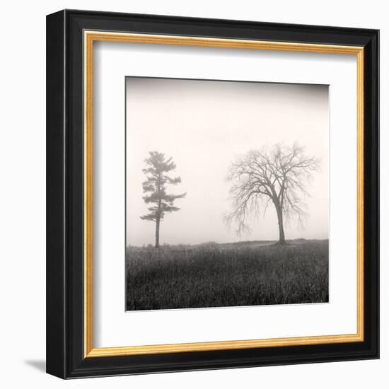 Tree, Study #8-Andrew Ren-Framed Art Print