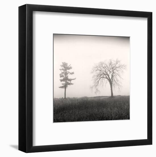 Tree, Study #8-Andrew Ren-Framed Art Print