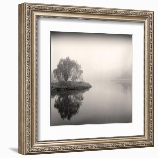 Tree, Study #9-Andrew Ren-Framed Art Print