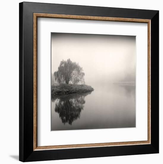 Tree, Study #9-Andrew Ren-Framed Art Print