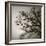 Tree Study II-Michael Kahn-Framed Giclee Print