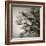 Tree Study II-Michael Kahn-Framed Giclee Print