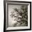 Tree Study II-Michael Kahn-Framed Giclee Print