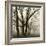 Tree Study III-Michael Kahn-Framed Giclee Print
