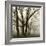 Tree Study III-Michael Kahn-Framed Giclee Print