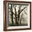 Tree Study III-Michael Kahn-Framed Giclee Print