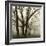 Tree Study III-Michael Kahn-Framed Giclee Print