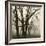 Tree Study III-Michael Kahn-Framed Giclee Print