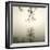 Tree Study IV-Michael Kahn-Framed Giclee Print