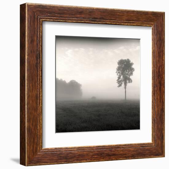 Tree, Study, no. 2-Andrew Ren-Framed Giclee Print