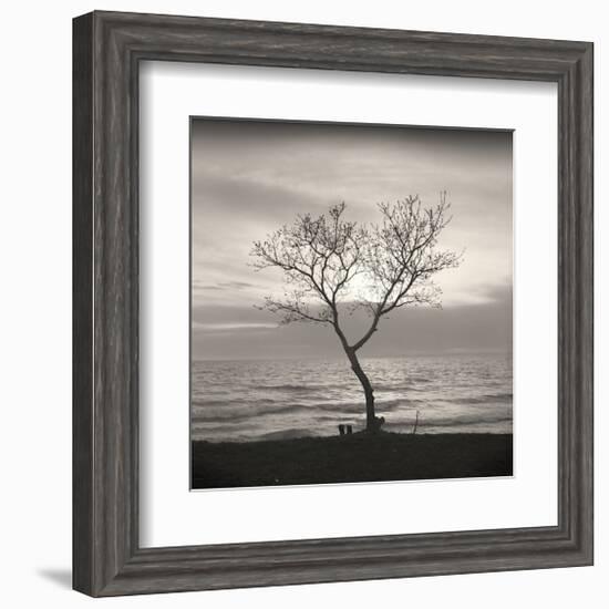 Tree, Study, no. 5-Andrew Ren-Framed Giclee Print