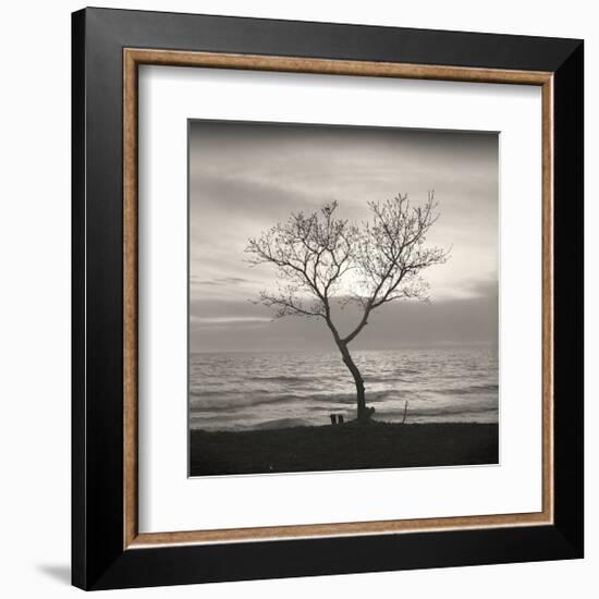 Tree, Study, no. 5-Andrew Ren-Framed Giclee Print