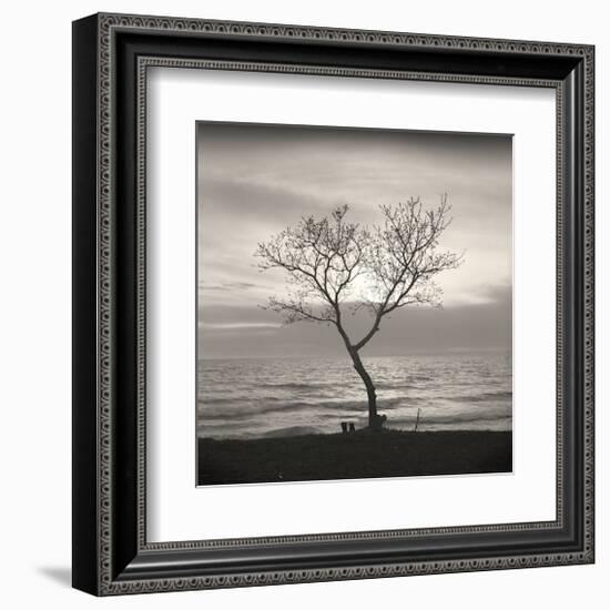 Tree, Study, no. 5-Andrew Ren-Framed Giclee Print