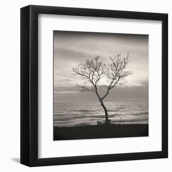 Tree, Study, no. 5-Andrew Ren-Framed Giclee Print