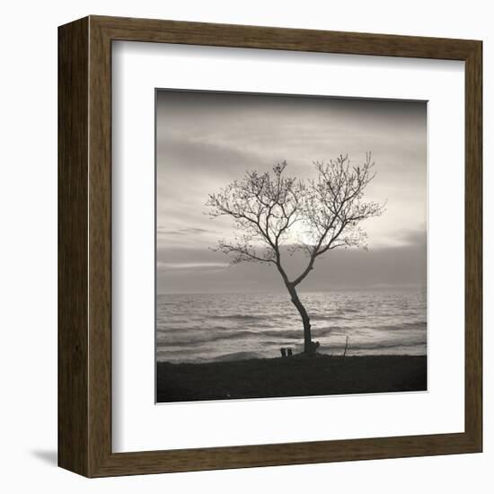 Tree, Study, no. 5-Andrew Ren-Framed Giclee Print