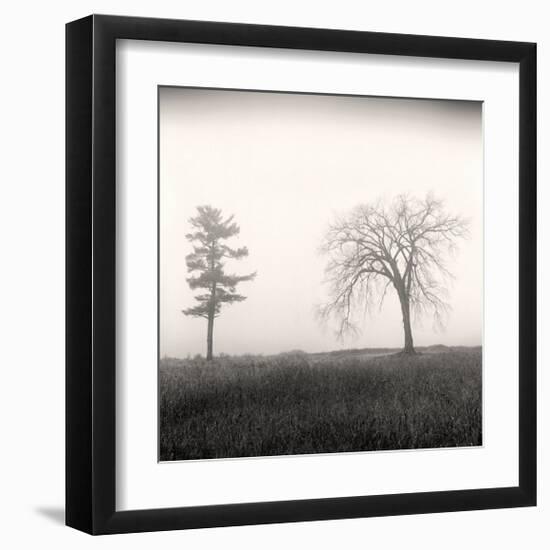 Tree, Study, no. 8-Andrew Ren-Framed Giclee Print