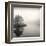 Tree, Study, no. 9-Andrew Ren-Framed Giclee Print