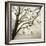 Tree Study VI-Michael Kahn-Framed Giclee Print