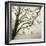 Tree Study VI-Michael Kahn-Framed Giclee Print